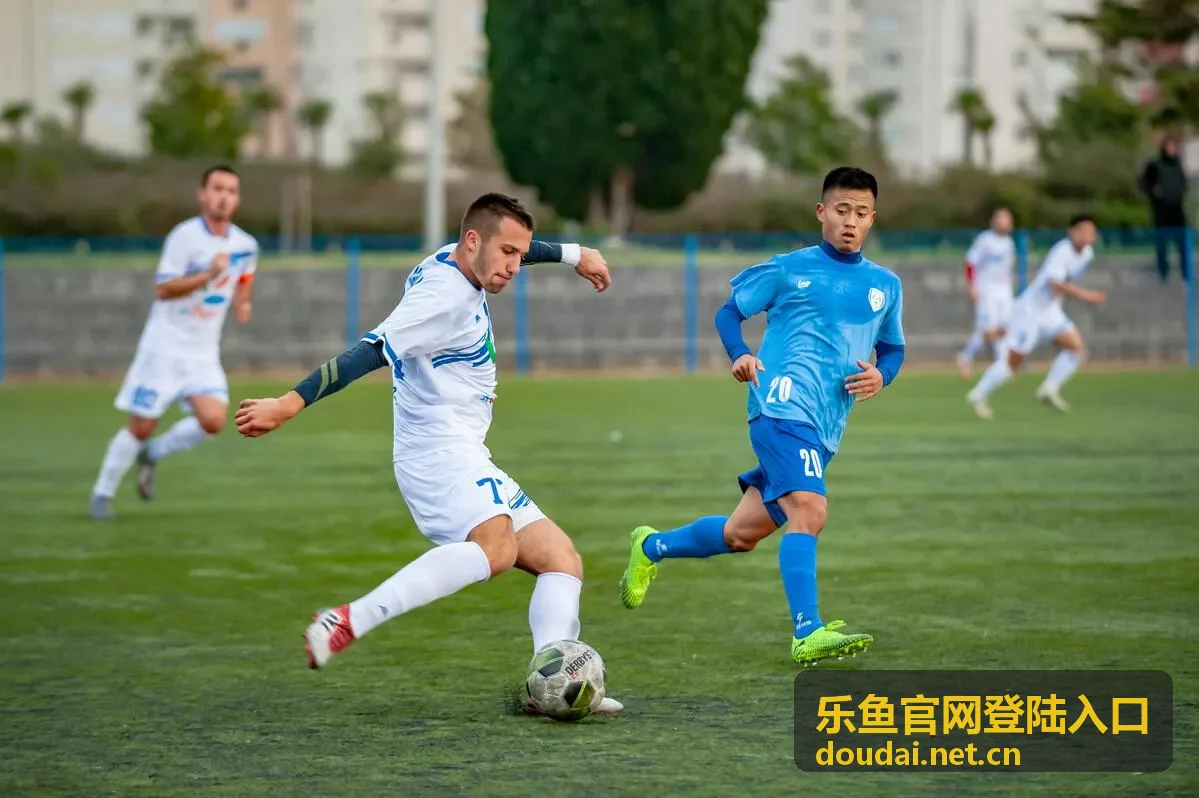 乐鱼官网登陆入口-直播封面